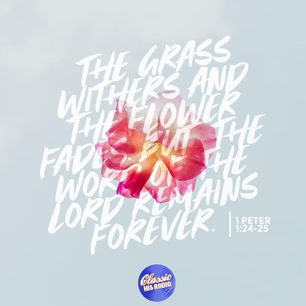 1 Peter 1:24-25 - Verse of the Day