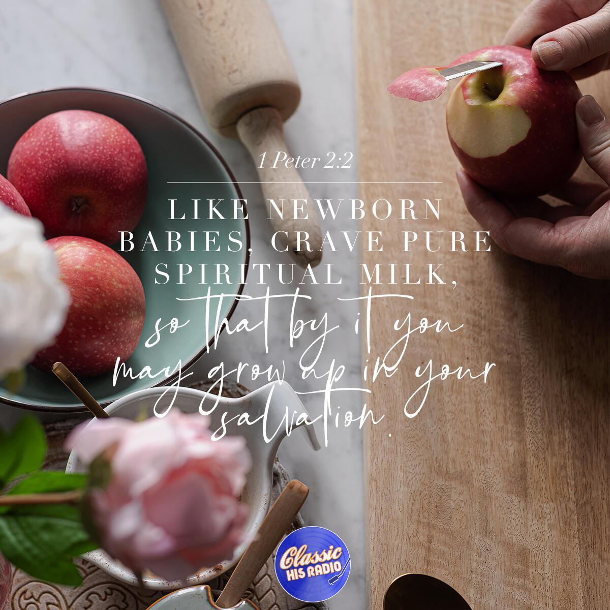 1 Peter 2:2 - Verse of the Day