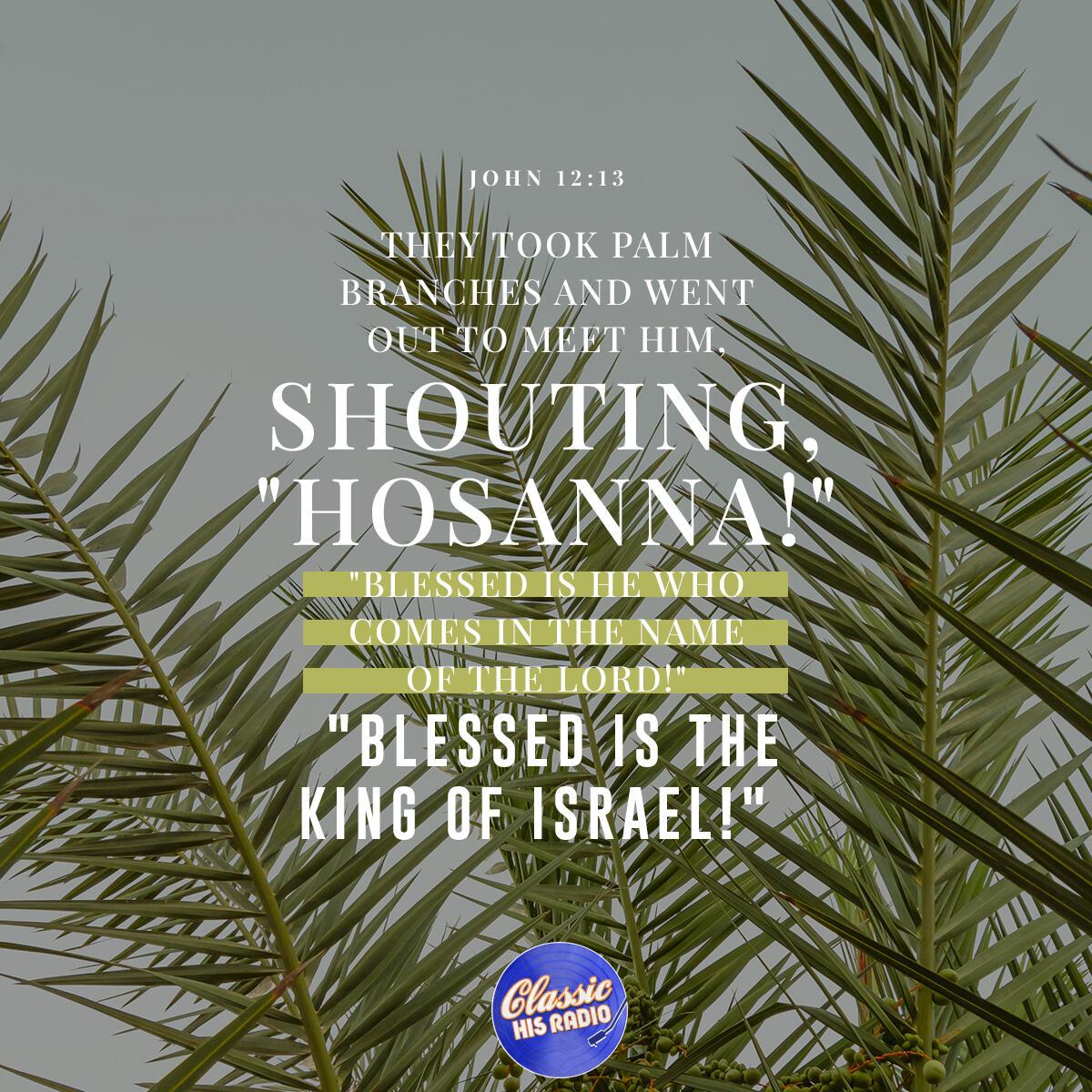 John 12:13 - Verse of the Day