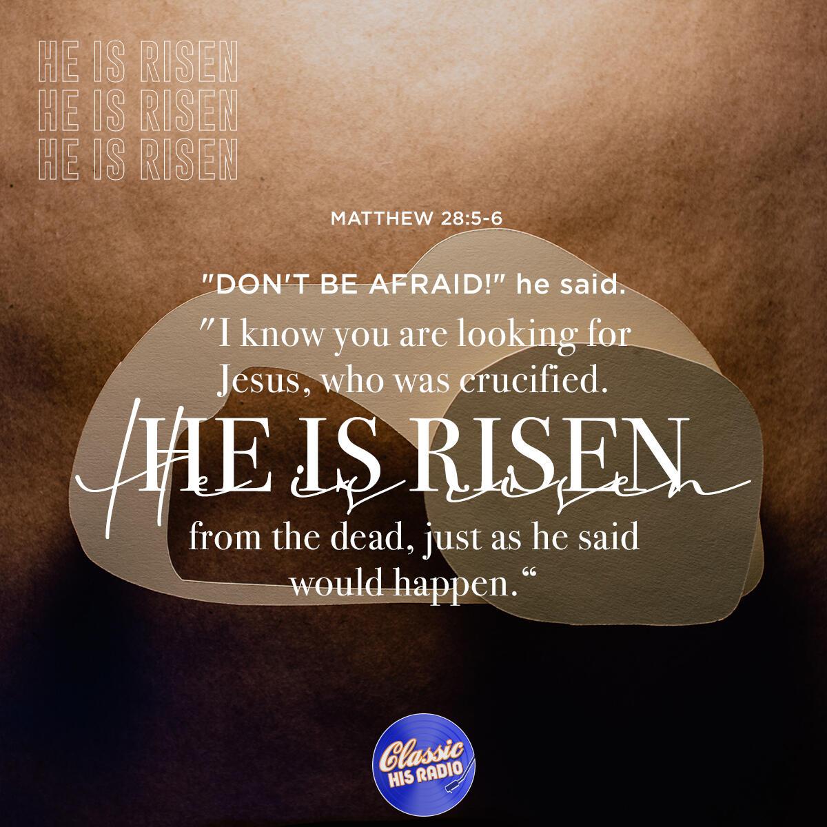 Matthew 28:5-6 - Verse of the Day