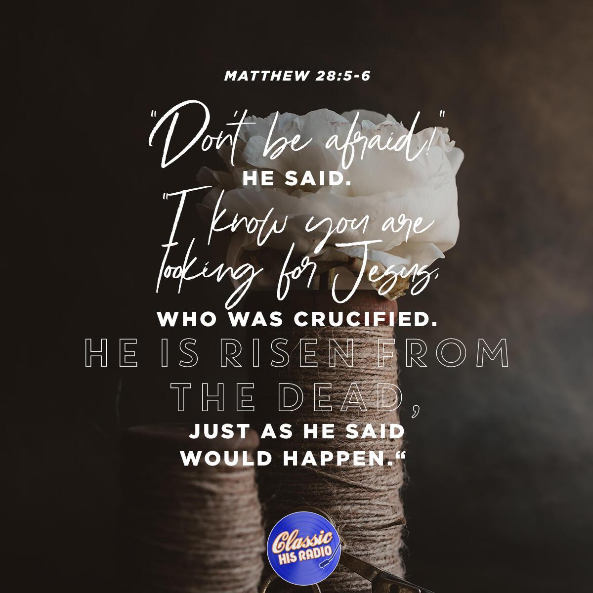 Matthew 28:5-6 - Verse of the Day