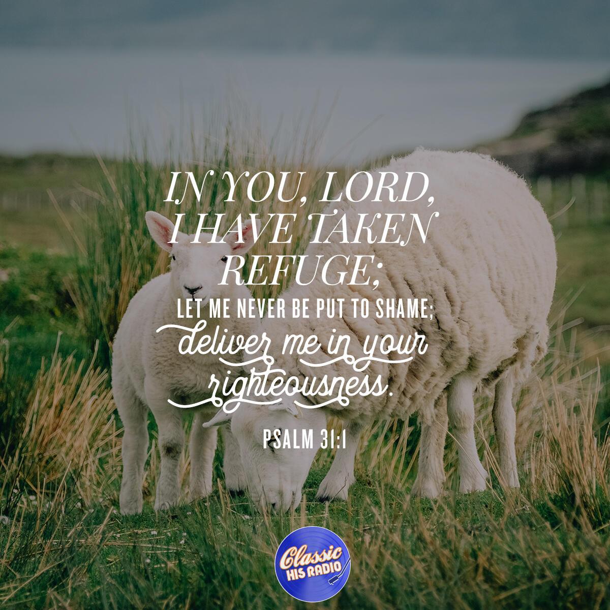 Psalm 31:1 - Verse of the Day