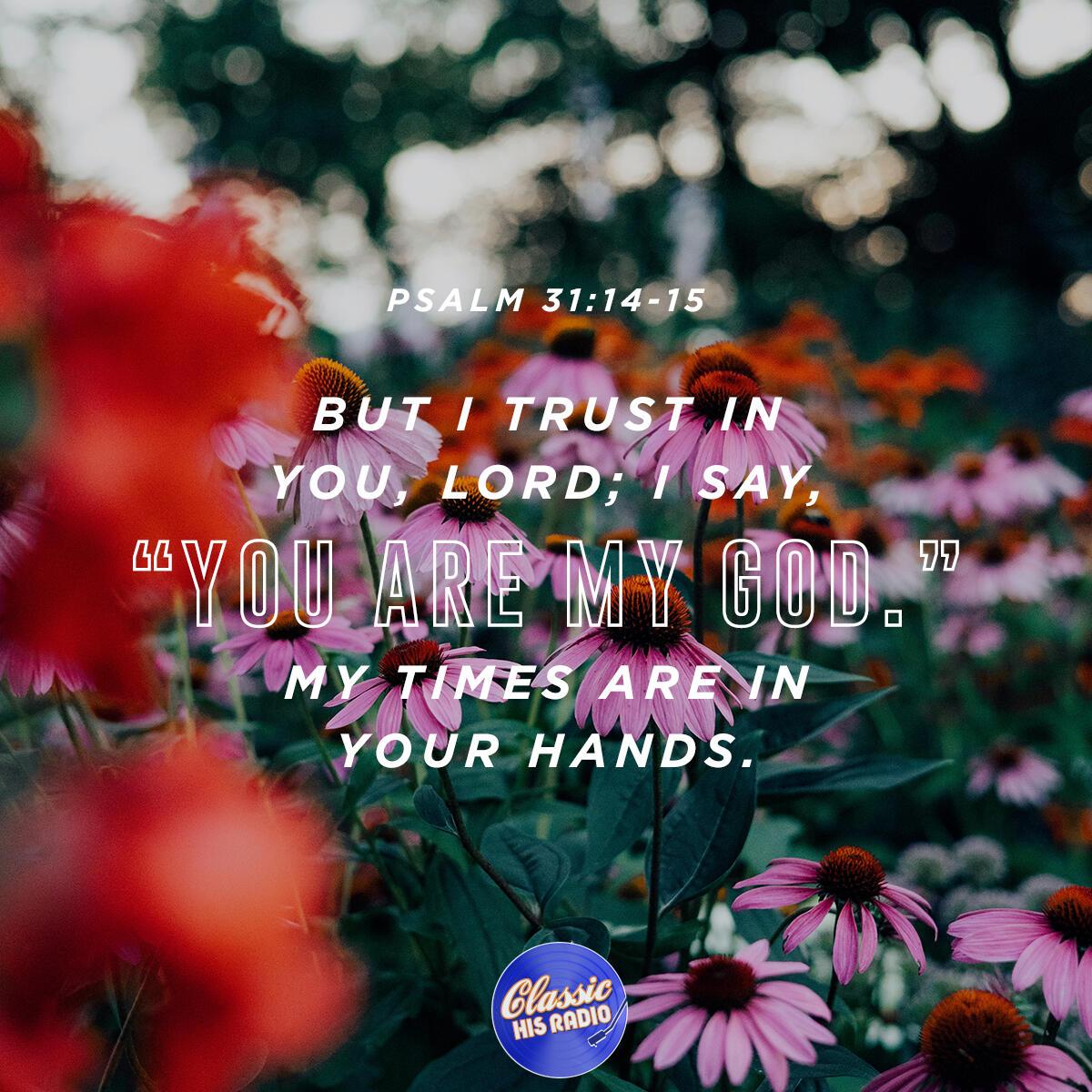 Psalm 31: 14-15 - Verse of the Day