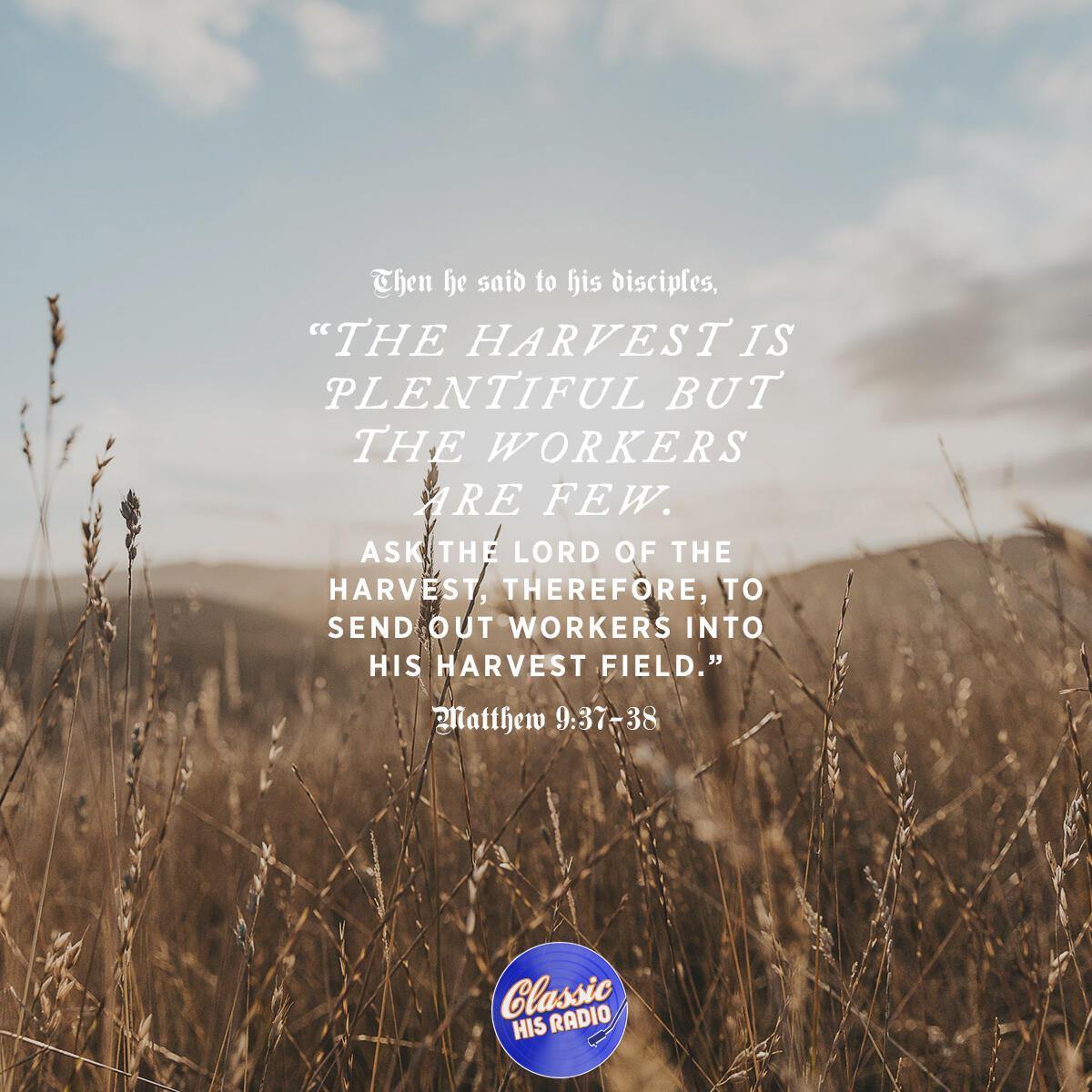 Matthew 9:37-38 - Verse of the Day
