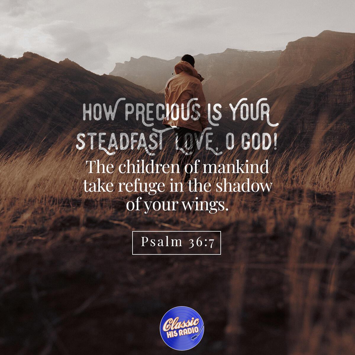 Psalm 36:7 - Verse of the Day