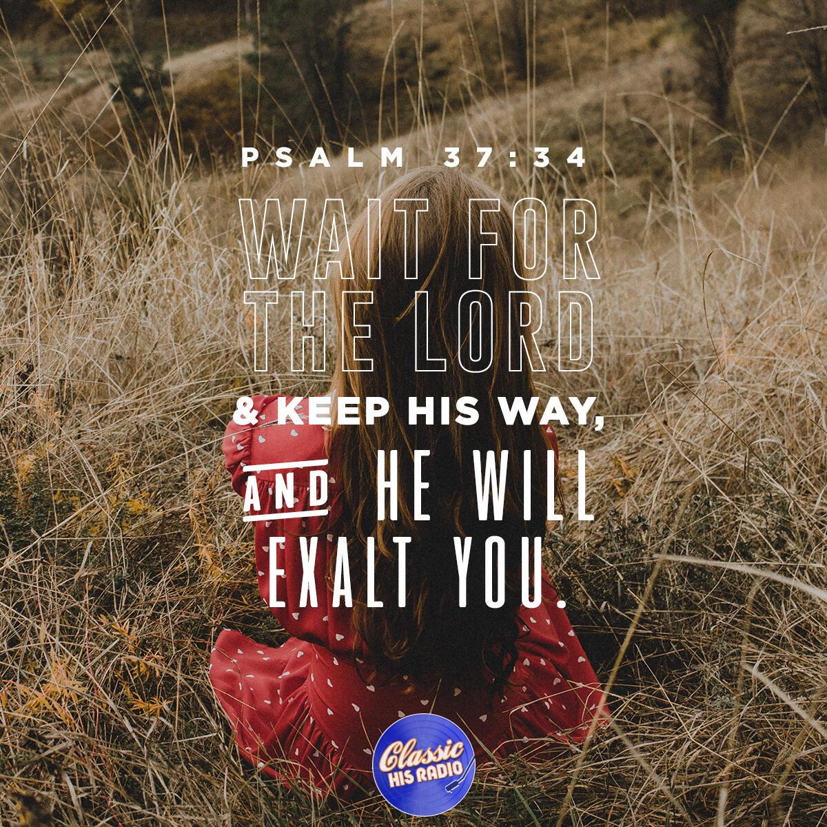 Psalm 37:34 - Verse of the Day