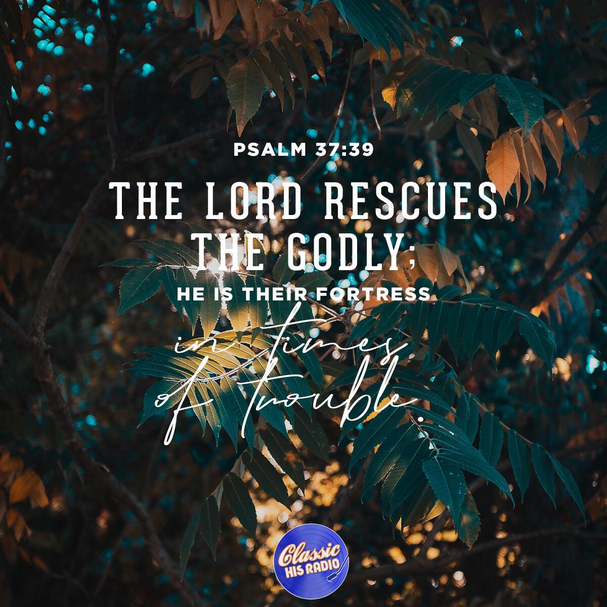 Psalm 37:39 - Verse of the Day