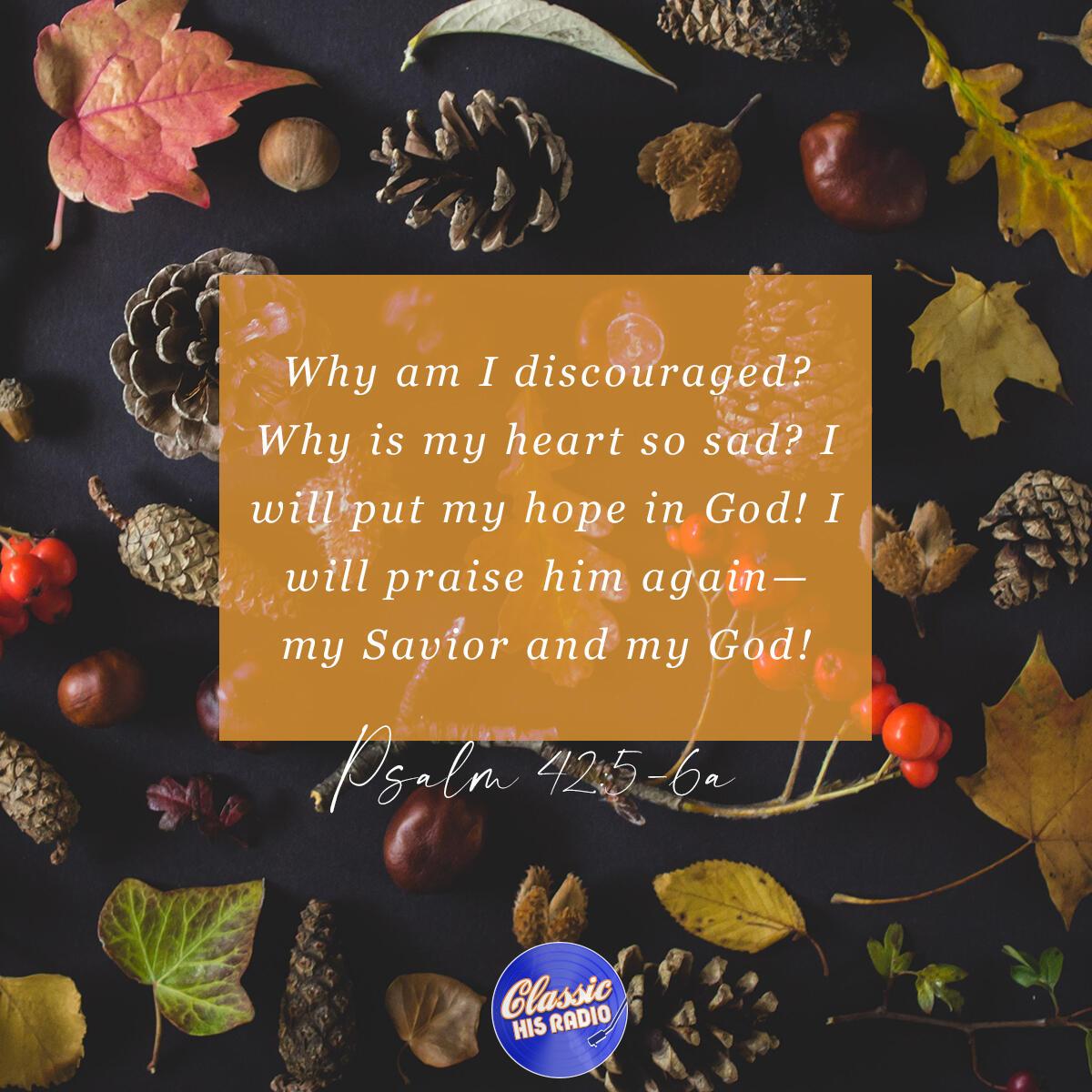 Psalm 42:5-6a - Verse of the Day