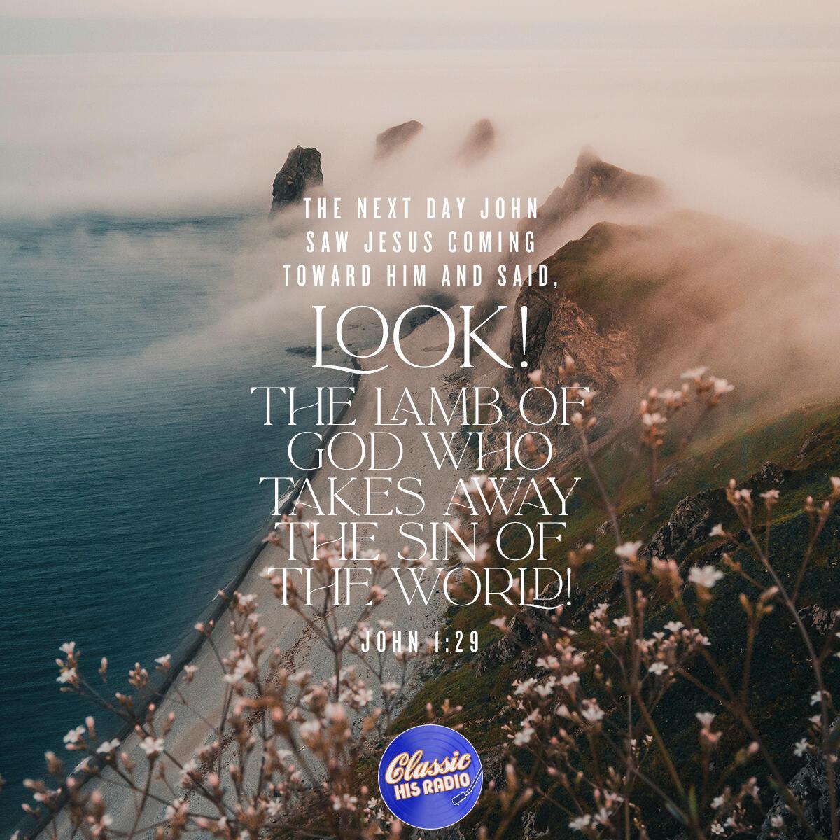 John 1:29 - Verse of the Day