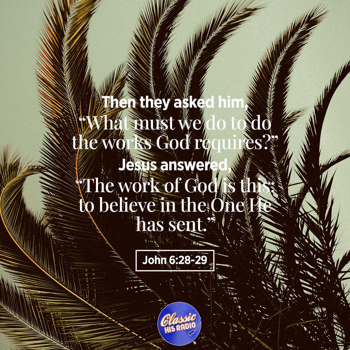 John 6:28-29 - Verse of the Day