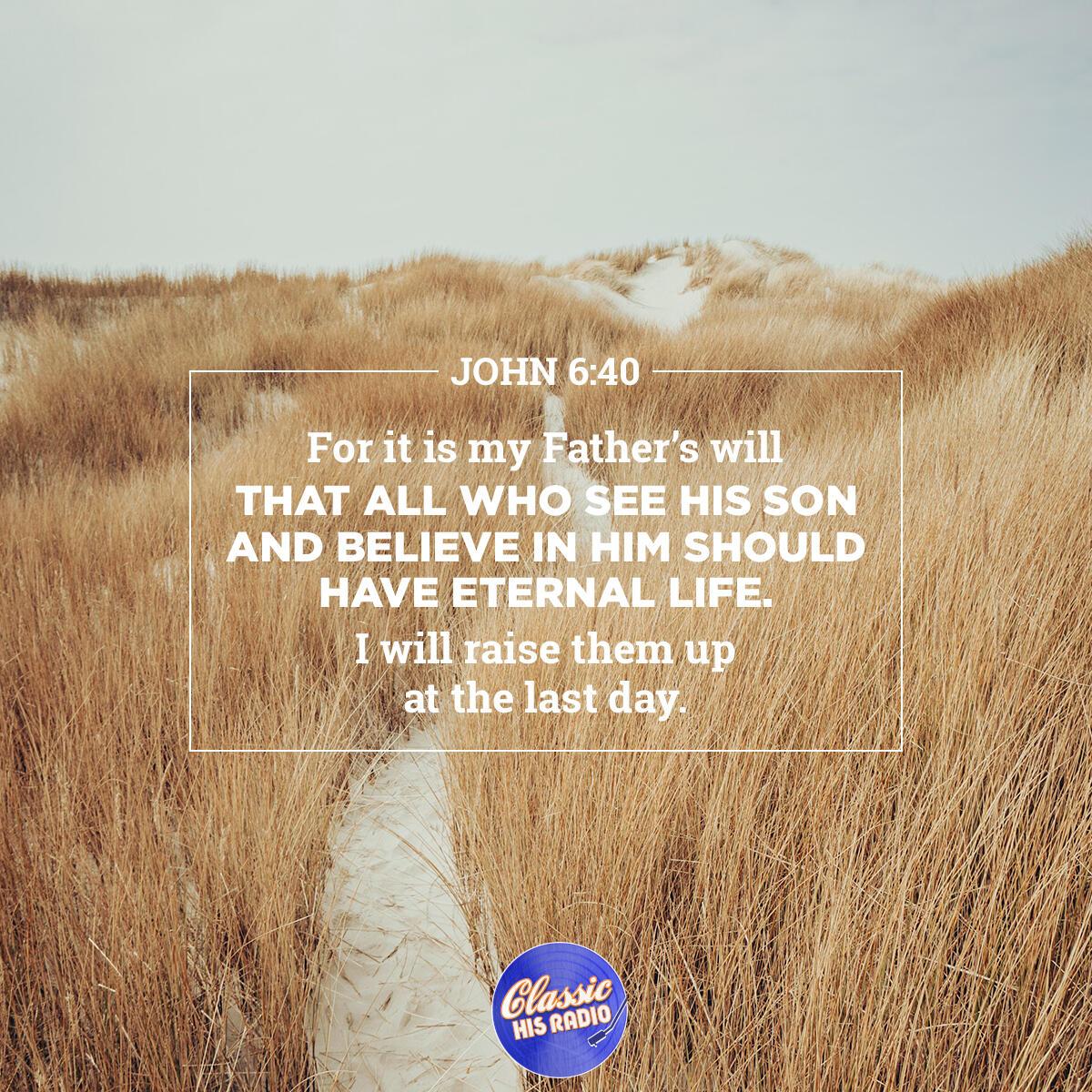 John 6:40 - Verse of the Day
