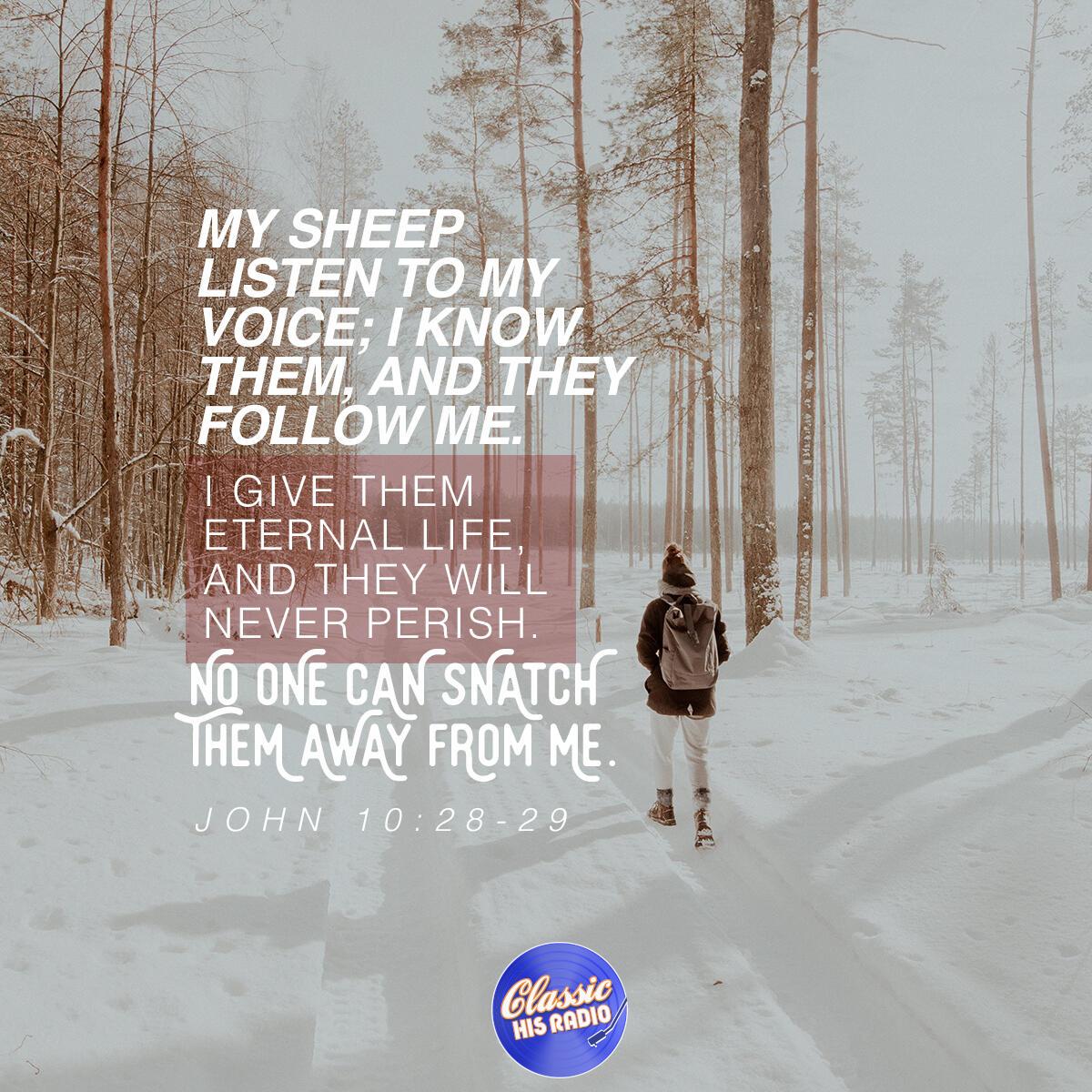 John 10:28-29 - Verse of the Day