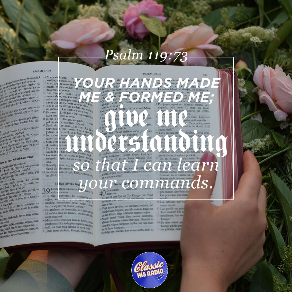 Psalm 119:73 - Verse of the Day