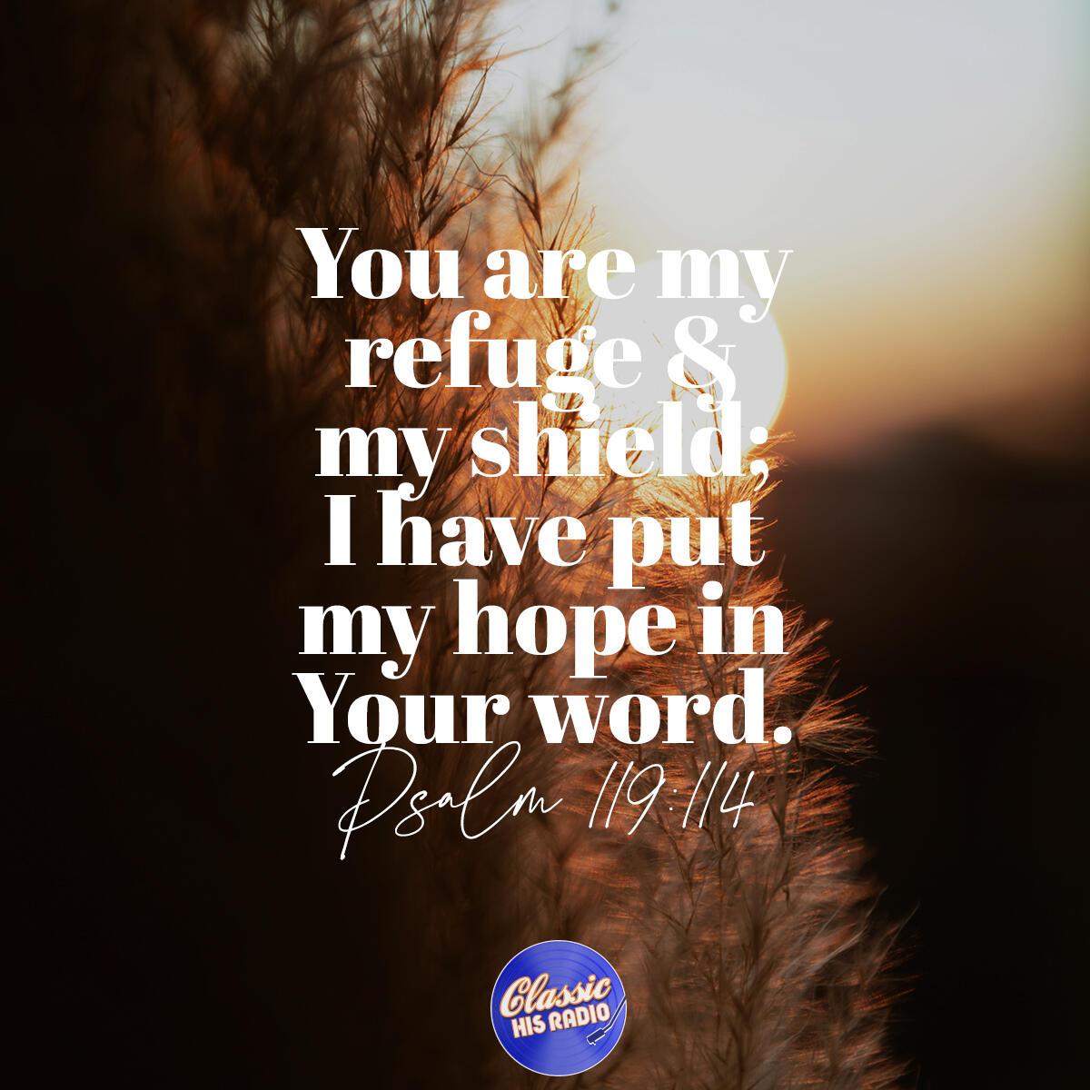 Psalm 119:114 - Verse of the Day