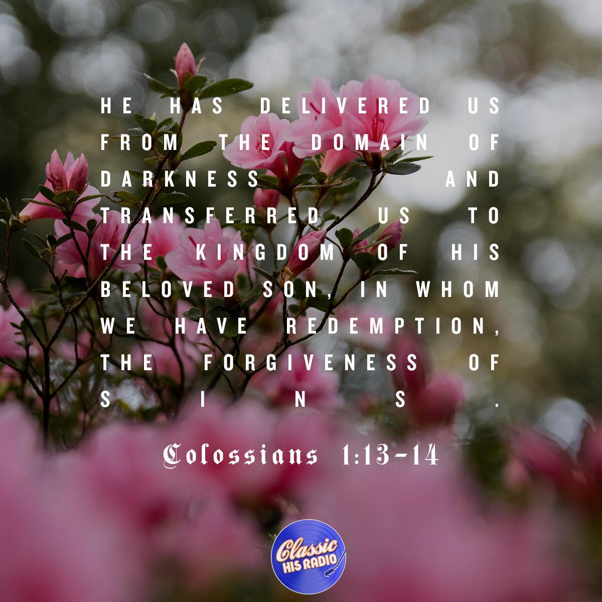 Colossians 1:13-14 - Verse of the Day