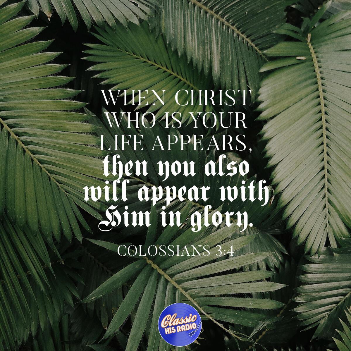 Colossians 3:4 - Verse of the Day