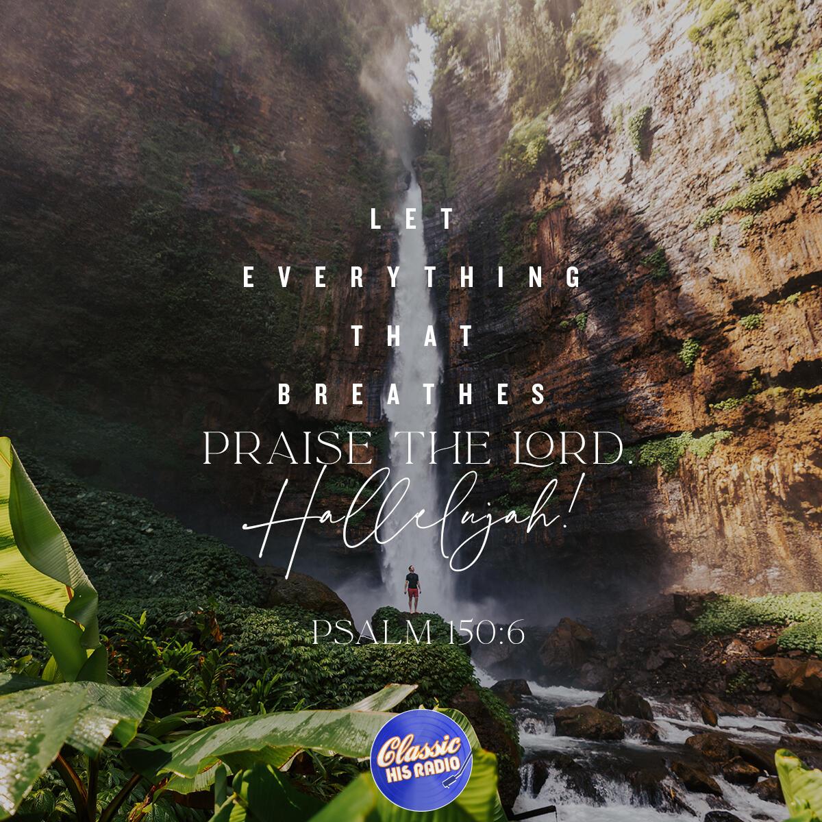 Psalm 150:6 - Verse of the Day