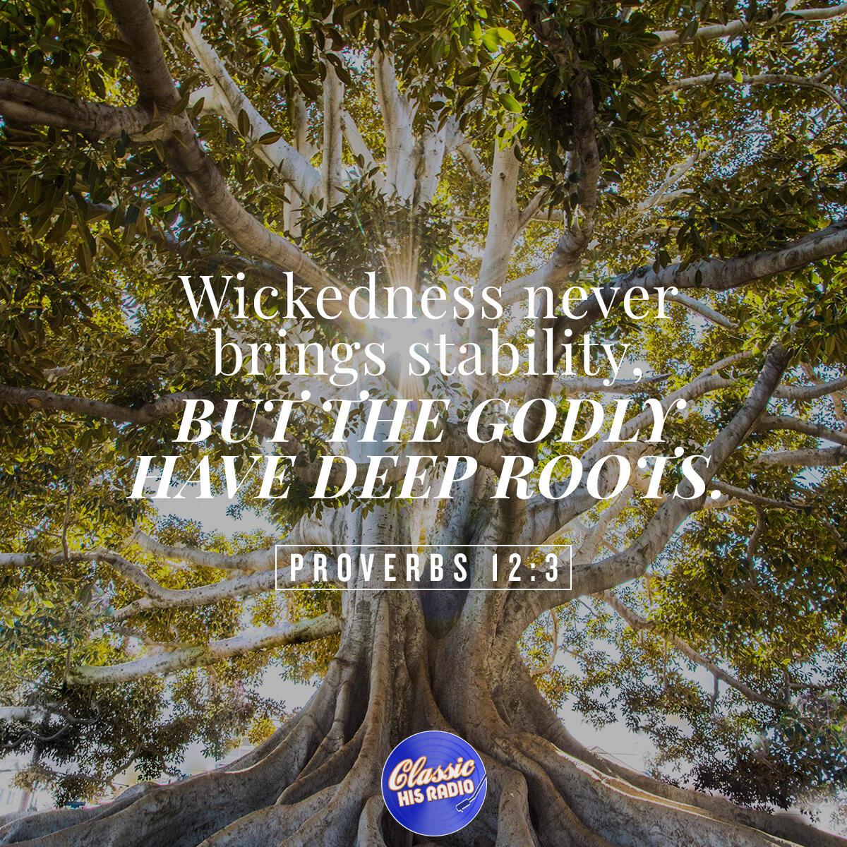 Proverbs 12:3 - Verse of the Day