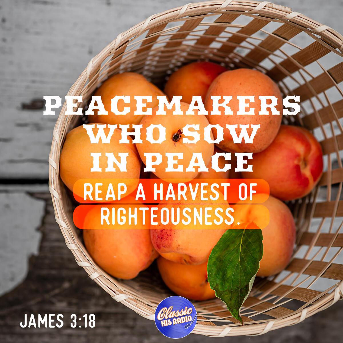 James 3:18 - Verse of the Day