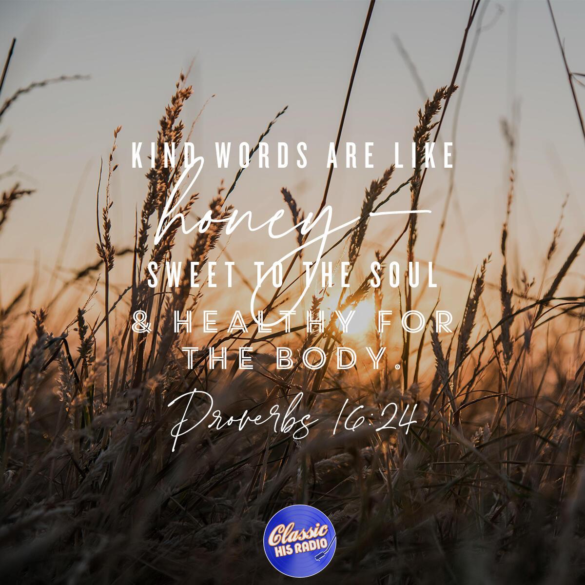 Proverbs 16:24 - Verse of the Day