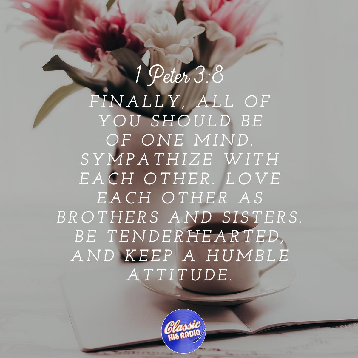 1 Peter 3:8 - Verse of the Day