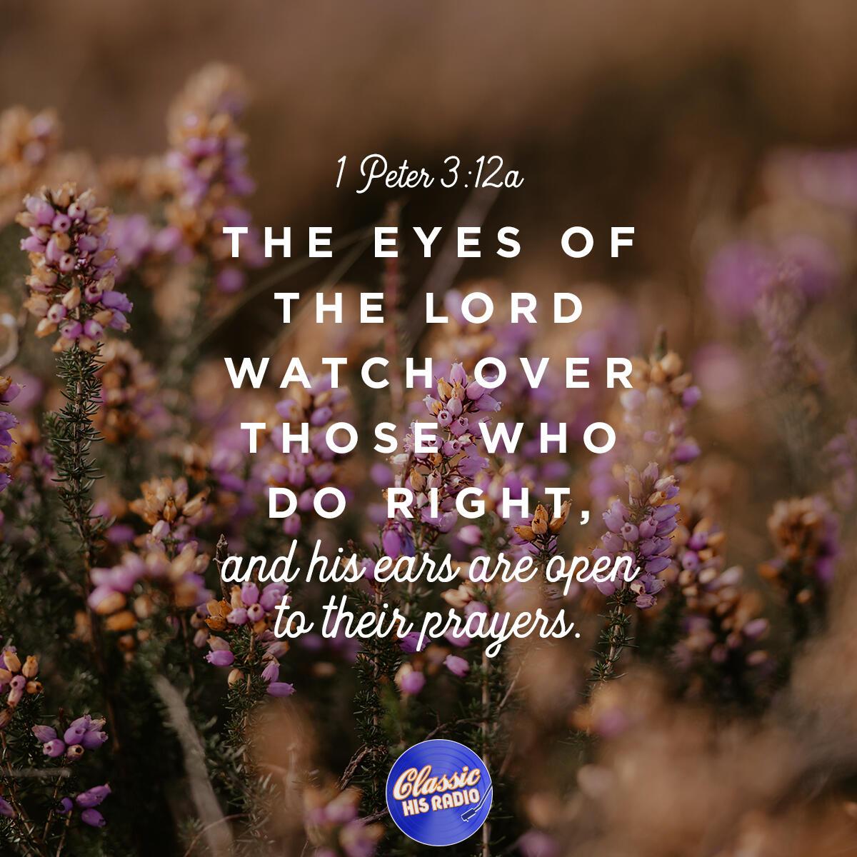 1 Peter 3:12a - Verse of the Day