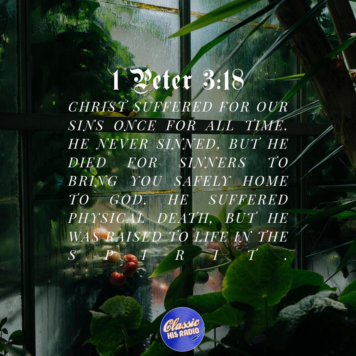 1 Peter 3:18 - Verse of the Day