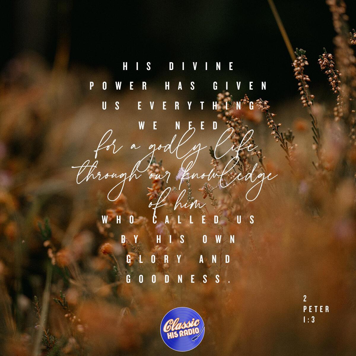 2 Peter 1:3 - Verse of the Day