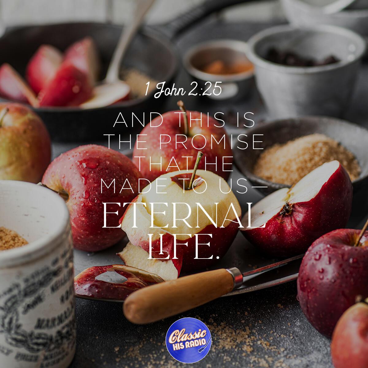 1 John 2:25 - Verse of the Day