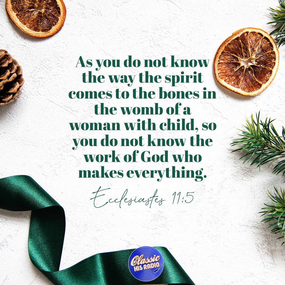 Ecclesiastes 11:5 - Verse of the Day