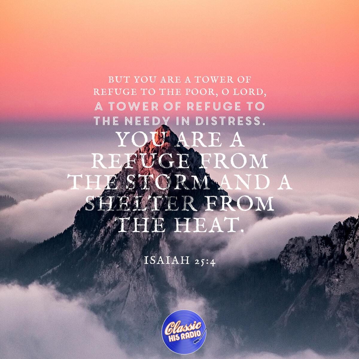 Isaiah 25:4 - Verse of the Day