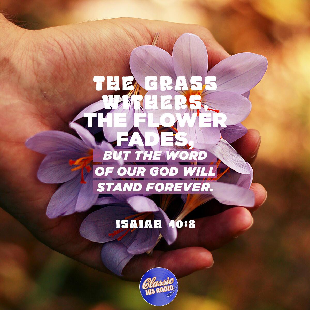 Isaiah 40:8 - Verse of the Day