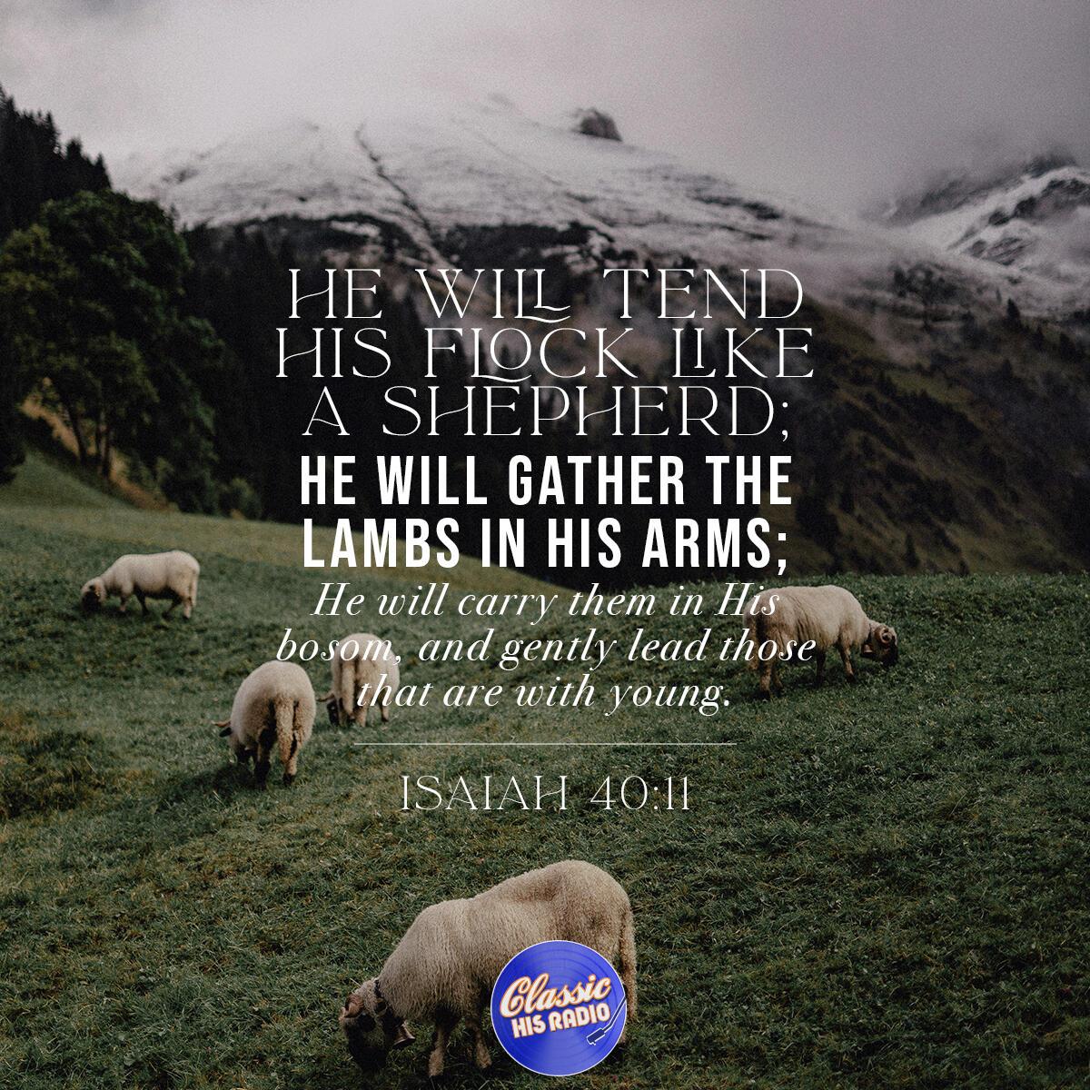Isaiah 40:11 - Verse of the Day