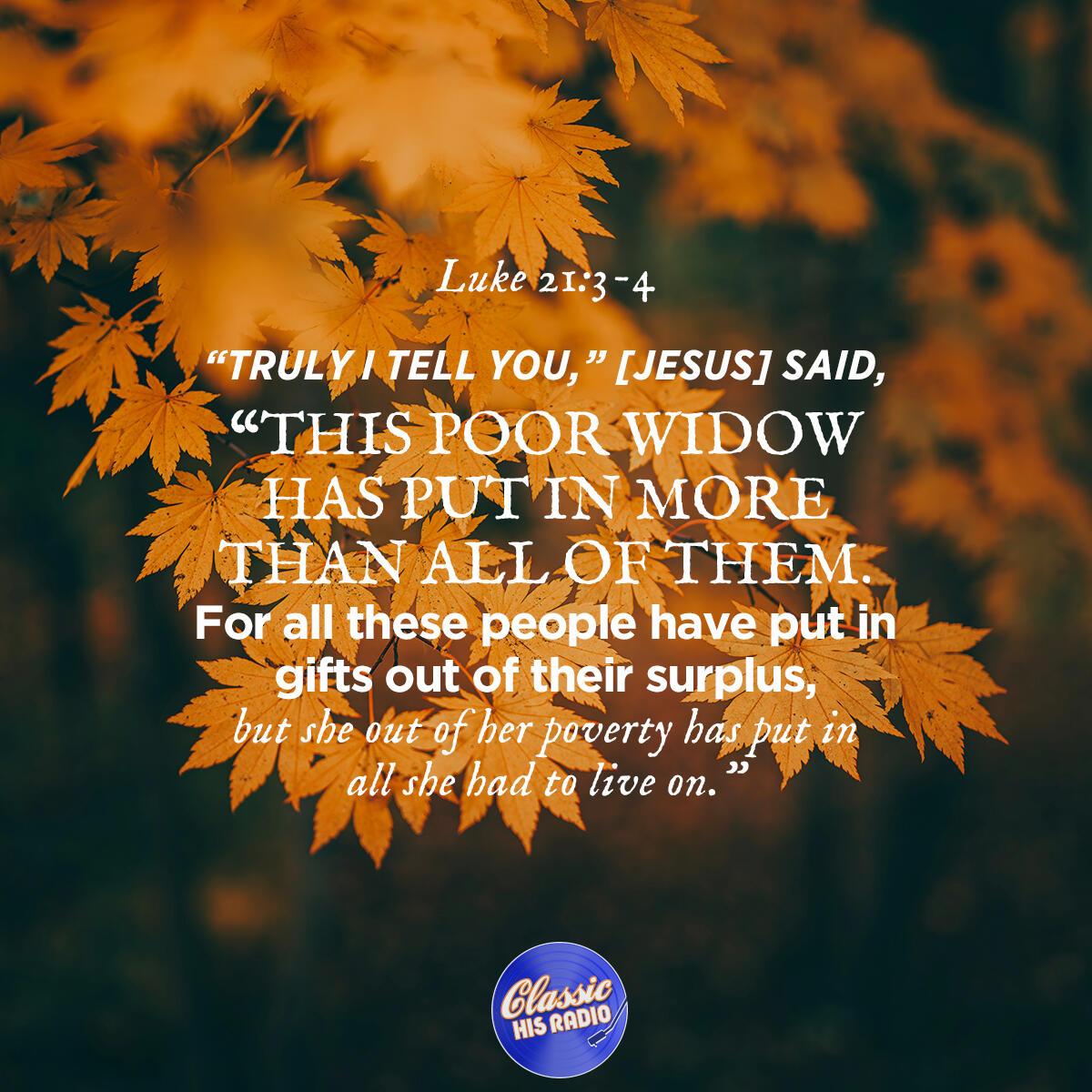 Luke 21:3-4 - Verse of the Day