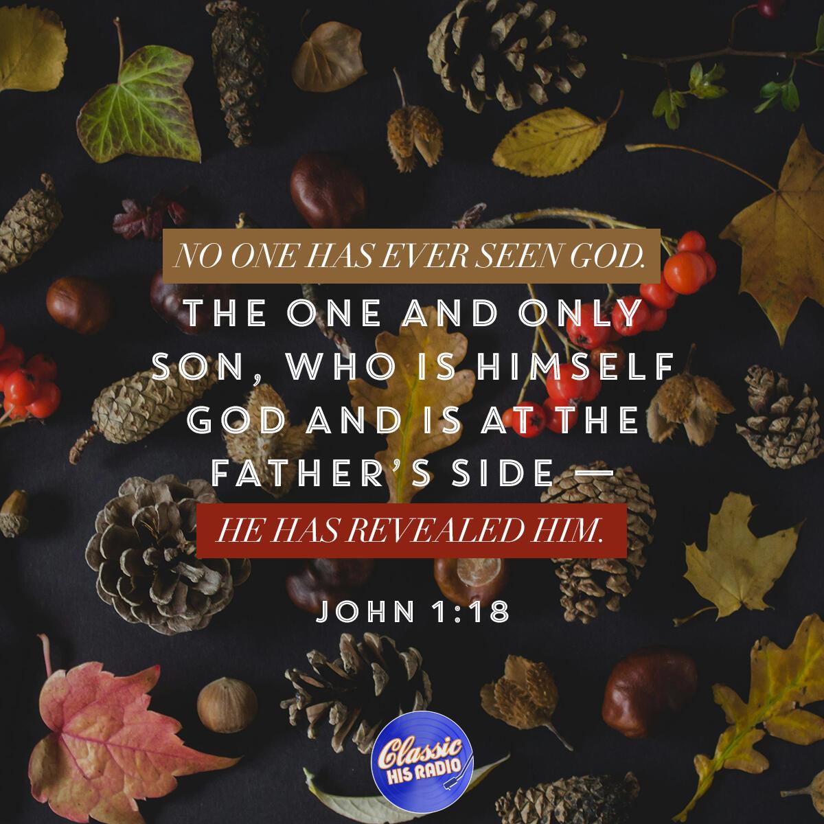 John 1:18 - Verse of the Day