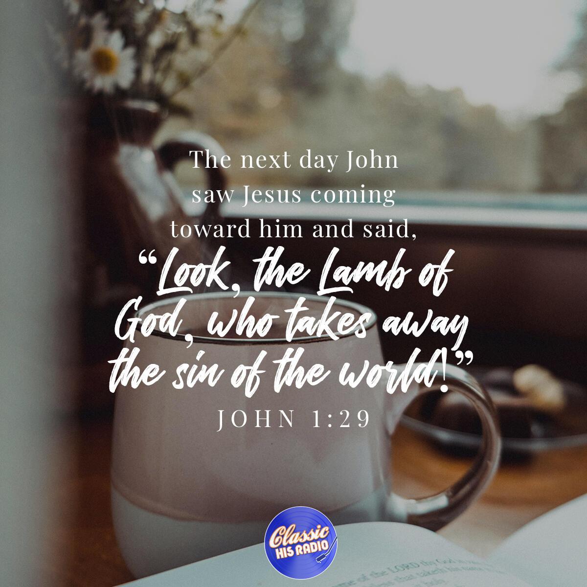 John 1:29 - Verse of the Day