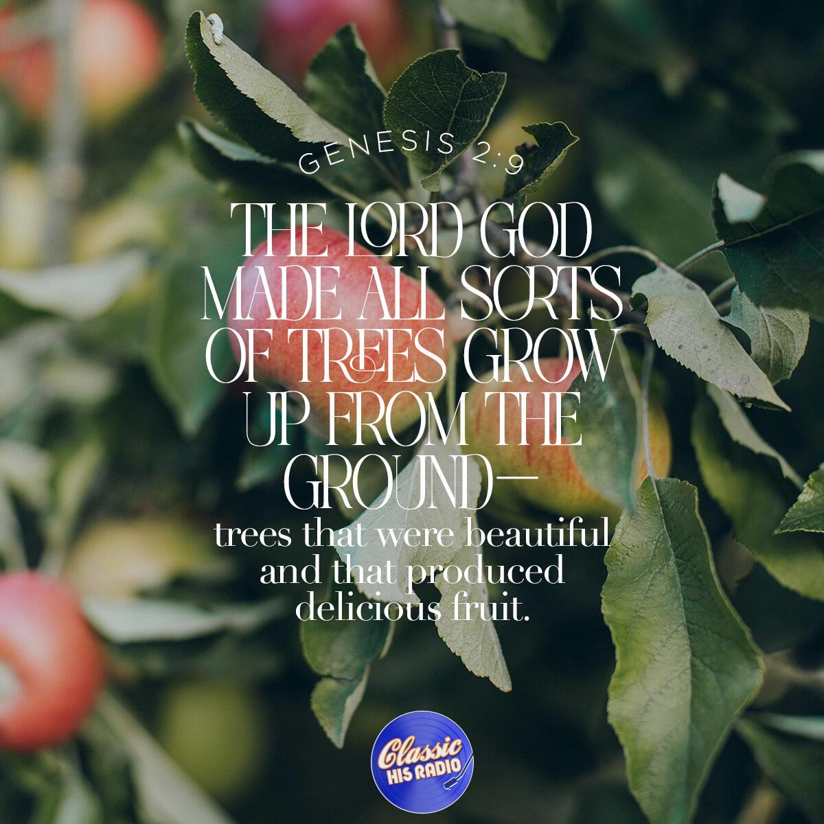Genesis 2:9 - Verse of the Day