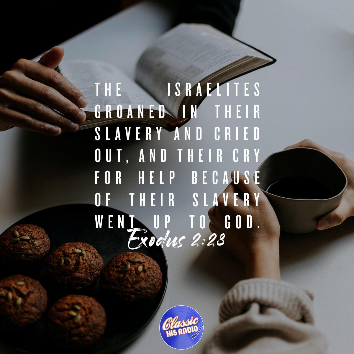 Exodus 2:23 - Verse of the Day