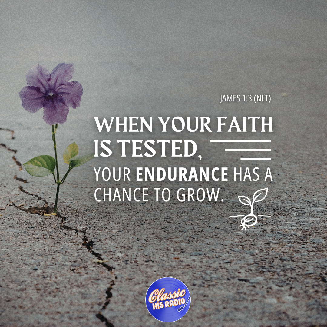 James 1:3 - Verse of the Day
